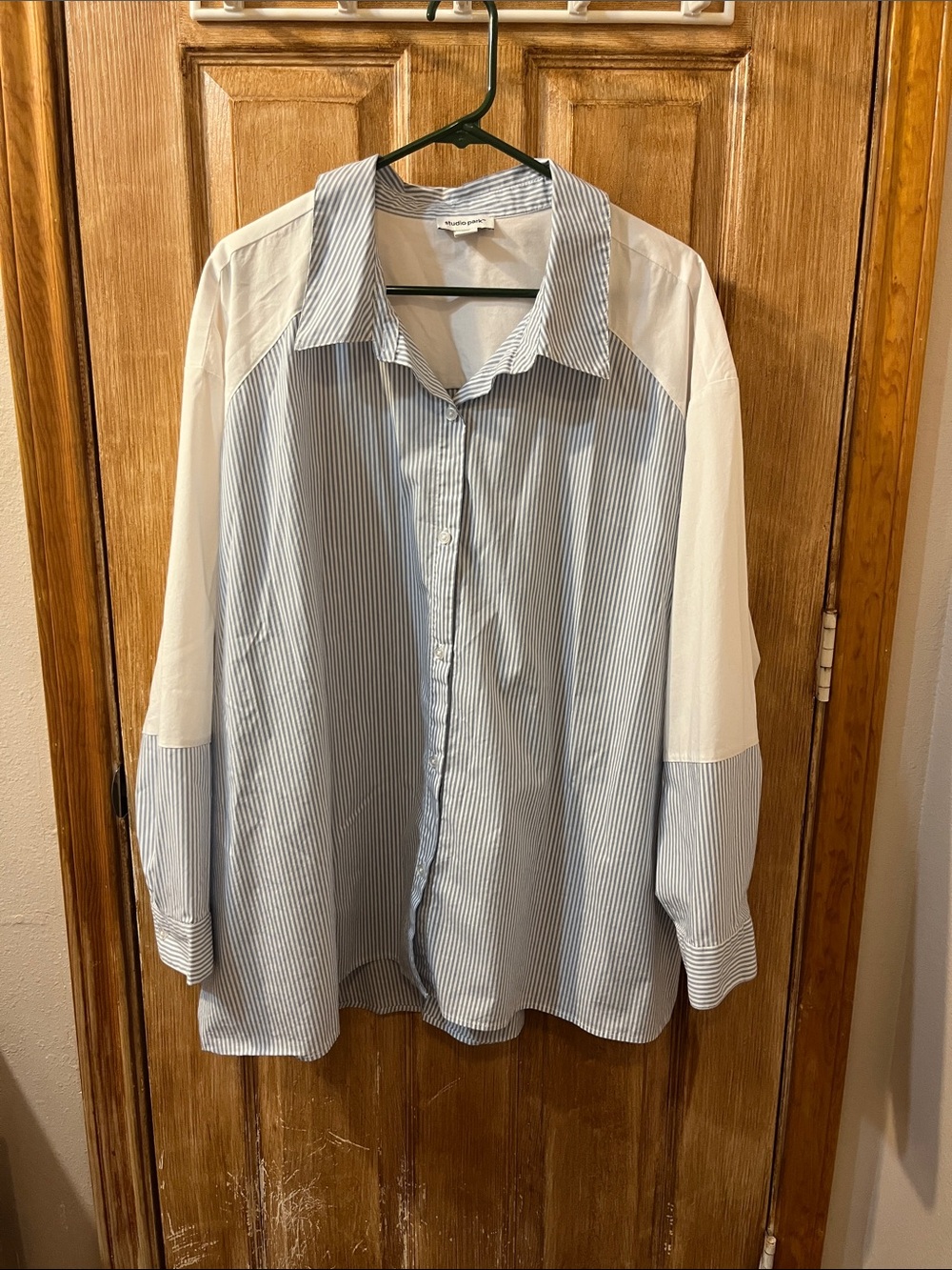 Studio Park Blue and White Pinstripe Button-Down Shirt